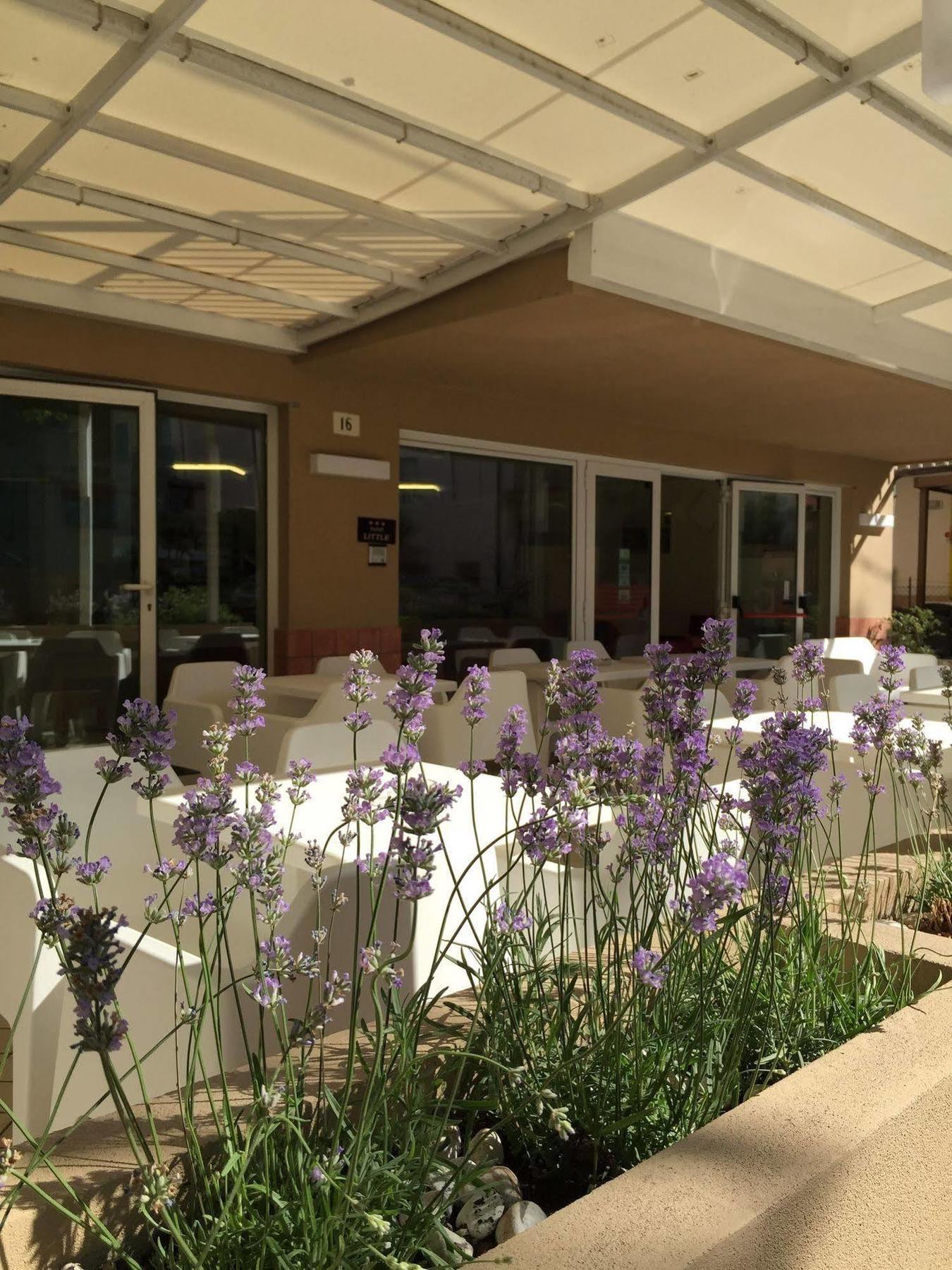 Hotel Little Ρίμινι Εξωτερικό φωτογραφία